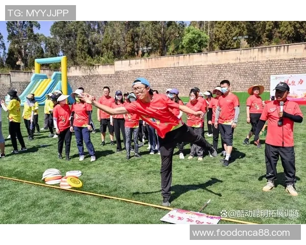 飞盘新手必看：轻松掌握团队协作技巧与游戏策略指南